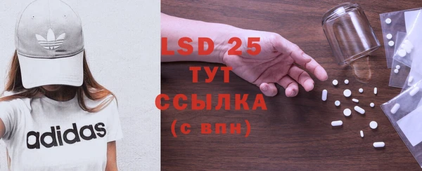 хмурый Мегион