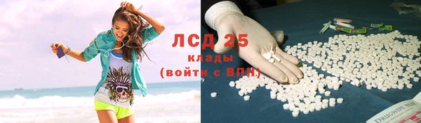 ПСИЛОЦИБИНОВЫЕ ГРИБЫ Медногорск