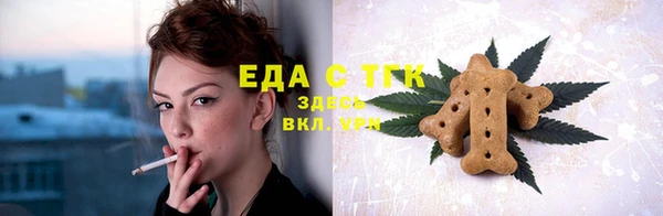 хмурый Мегион