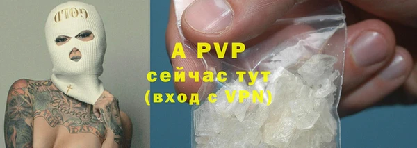 ПСИЛОЦИБИНОВЫЕ ГРИБЫ Медногорск