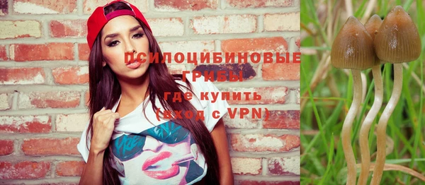 apvp Медвежьегорск