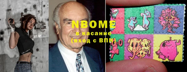 хмурый Мегион