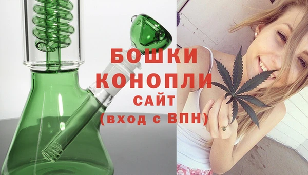 хмурый Мегион