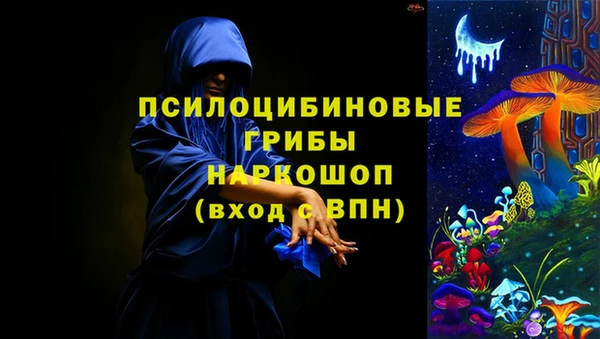 ПСИЛОЦИБИНОВЫЕ ГРИБЫ Медногорск