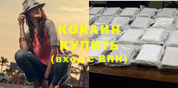 хмурый Мегион