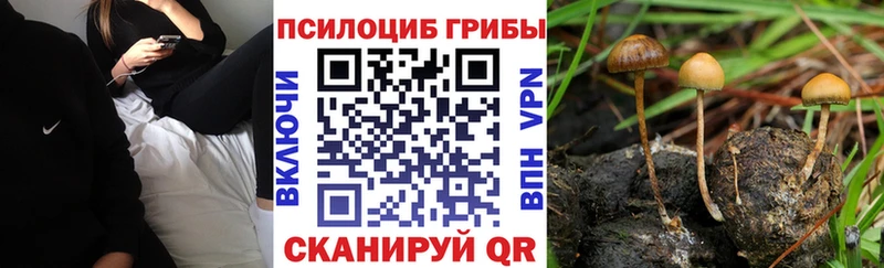 Псилоцибиновые грибы Magic Shrooms  Томилино 